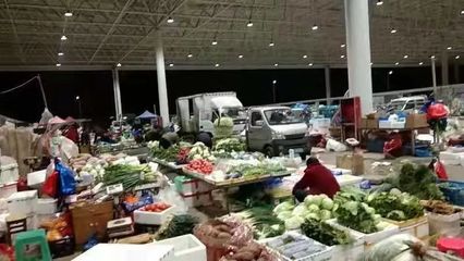 樂清市新地標(biāo)落成 占地58畝農(nóng)副產(chǎn)品批發(fā)市場(chǎng)12日盛大開業(yè)